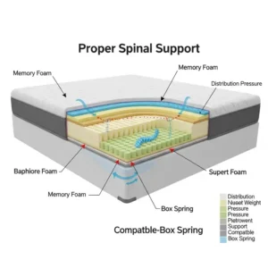 Cross-section diagram showing a memory foam mattress perfectly seated on a compatible box spring, highlighting proper alignment for spinal support.