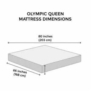 Infographic showing the dimensions of an olympic queen mattress size: 66 inches by 80 inches.