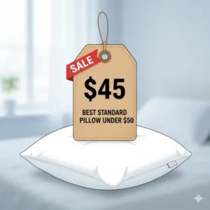 Promotional image highlighting the best standard size pillow under $50 price point.